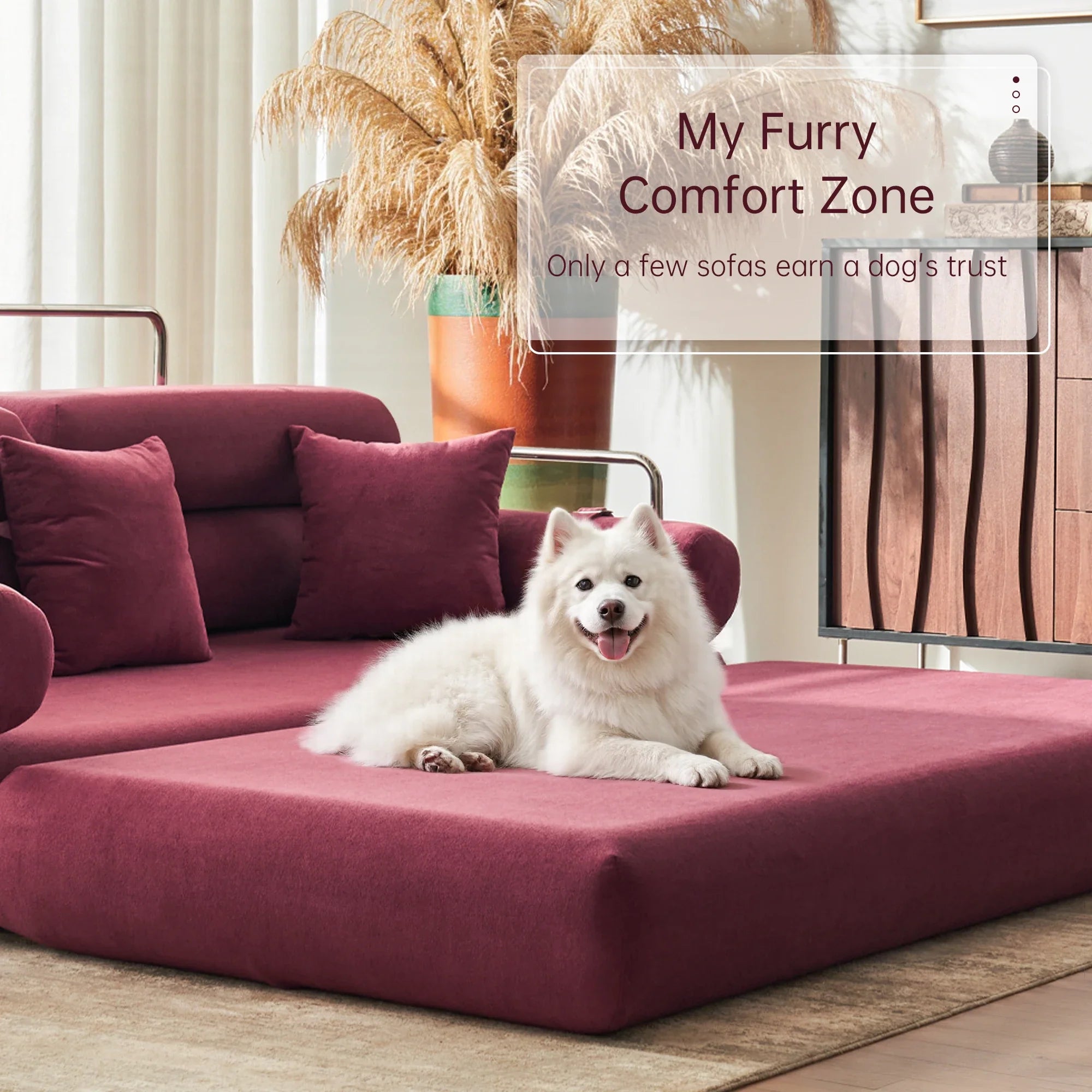 Cozy Convertible Sofa Bed