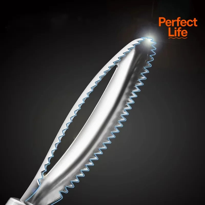 Quick Fish Scale Remover